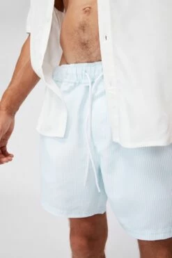 Swim Short BLUE WHITE STRIPE 9 Swim Short BLUE WHITE STRIPE -Mens Clothing Store 3610325 45 4