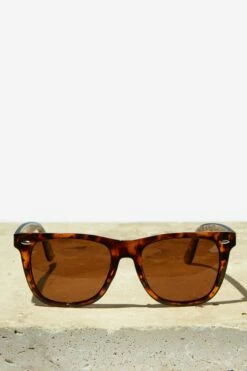 Beckley Polarized Sunglasses TORT/BROWN