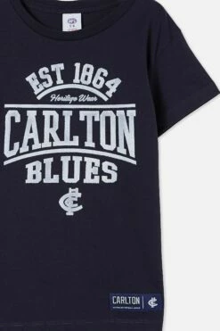 Afl Kids Distressed Flock Tee GEELONG -Mens Clothing Store 9630443 03 1